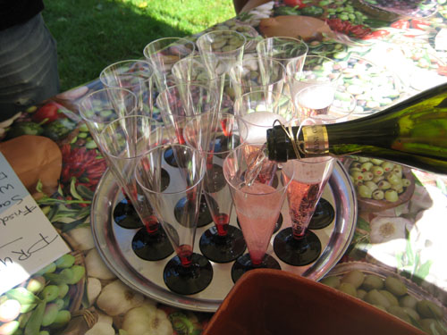 10RozePicknick