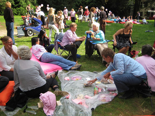 51RozePicknick