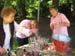 05RozePicknick