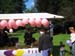 55RozePicknick